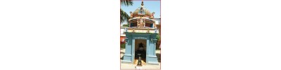 மேல் படப்பை